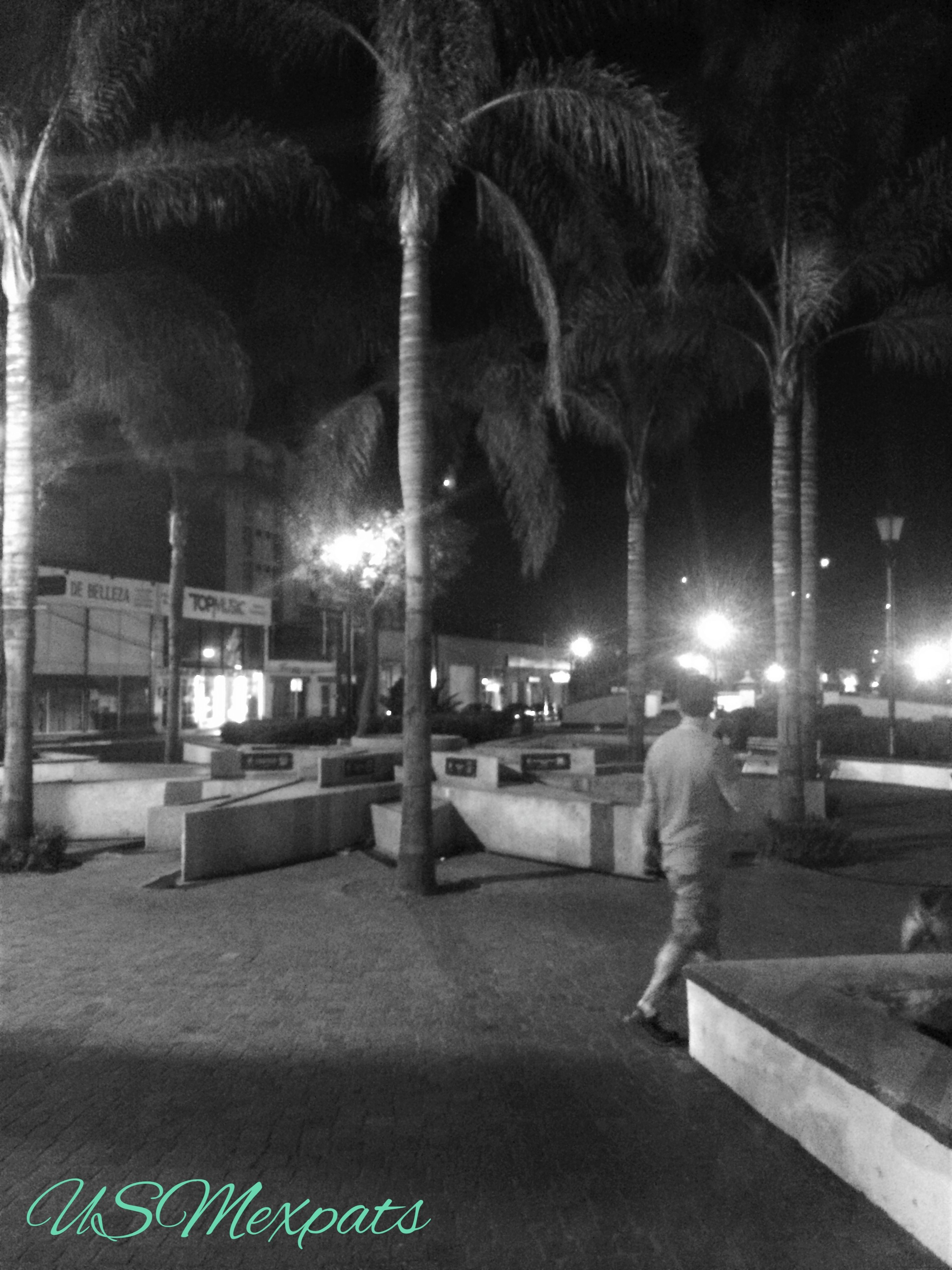 San Luis Potosi palm trees Enrique Charlie USMexpats